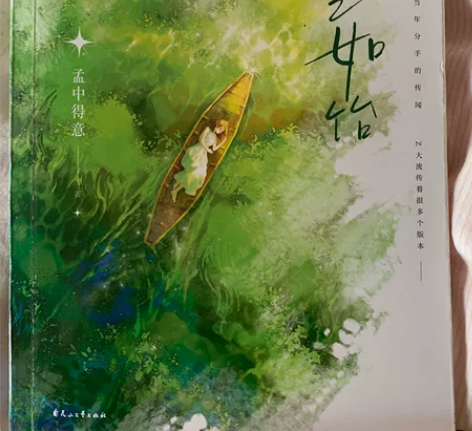 出一本青春文学小说，看完了95新，书的大封...