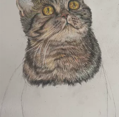 有没有宝宝想给自家宠物定制肖像画的呀，我的...