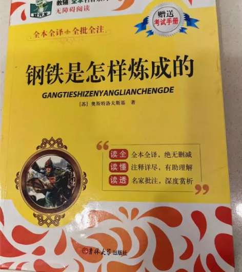 名著《钢铁是怎样炼成的》 感兴趣的话点“我...