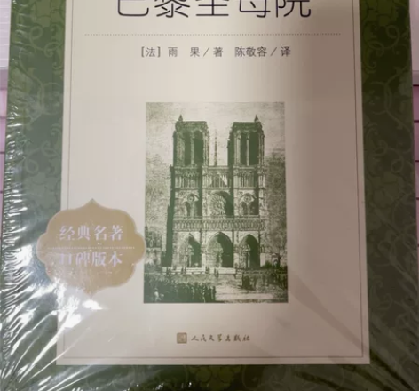 全新书籍，包装都没拆，20一本，巴黎圣母院...