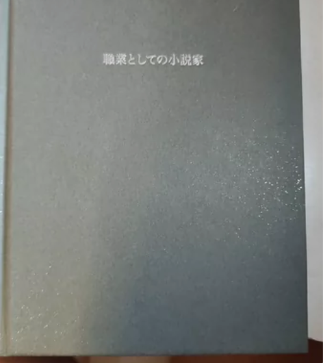 文 轩 书 店购买的正品图书 我的职业是小...