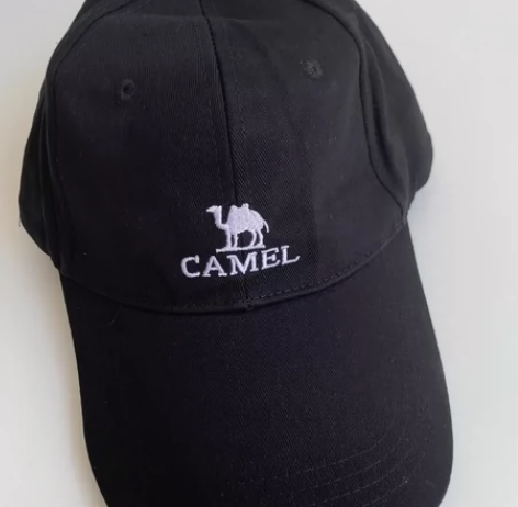 骆驼棒球帽全新 感兴趣的话点“我想要”和我...