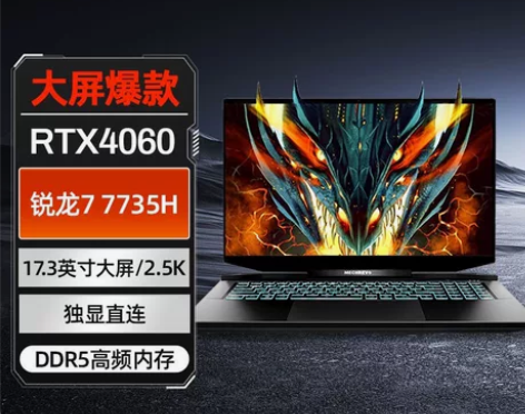 机械革命新品蛟龙17K/RTX4060 1...
