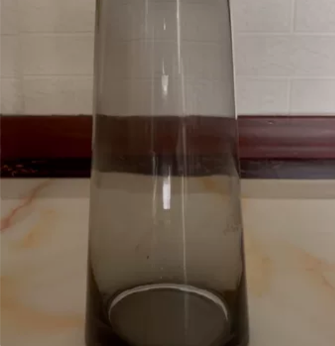 轻奢玻璃花瓶摆件现代简约客厅透明水培插花瓶...