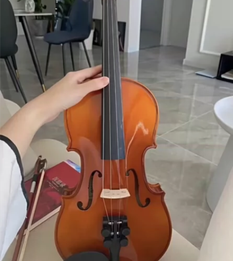 个人转让原价3500的小提琴，几乎没弹过小...