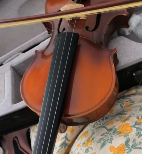 小提琴专业级实木练习考级小提琴初学者儿童成...