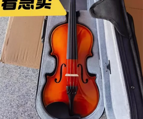 琴行倒闭清仓全新实木小提琴低价出，小提琴适...