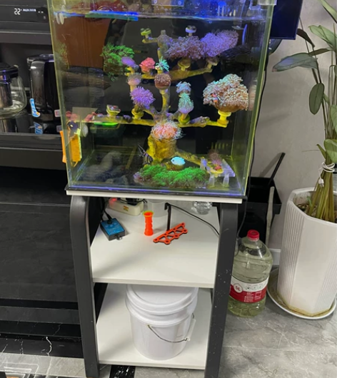 40背滤方缸海水缸蛋分格可以调节水位贴了去...