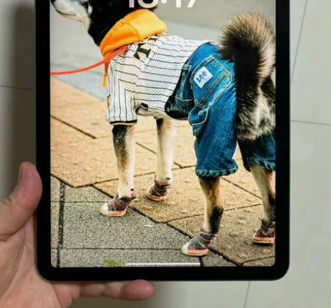 血亏处理了只求回血，iPad Air4 2...