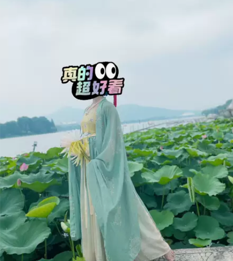 桔屿原创汉服女诃子裙簪花，L码，包含诃子裙...