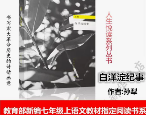 正版 白洋淀纪事 孙犁 新编七年级上册语文...