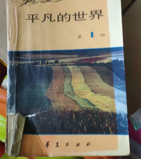 平凡的世界 新旧如图，介意勿拍平凡的世界明...