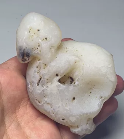 奇石《大白鹅》歪头喜上眉梢 奇石伴我游四方...