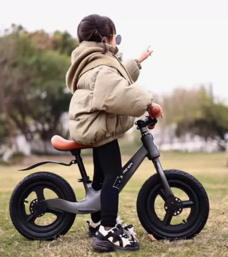 【捡漏】凤凰永久飞鸽铝合金一体平衡车儿童3...