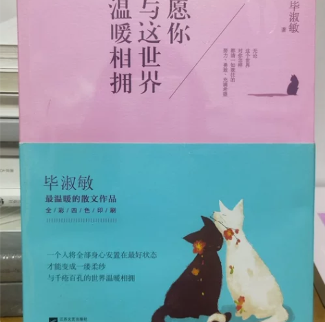 正版二手 愿你与这世界温暖相拥 毕淑敏 江...