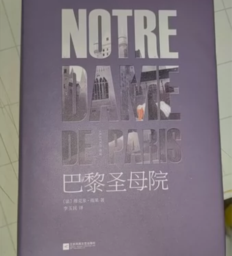 巴黎圣母院!! 全新!全新￥26