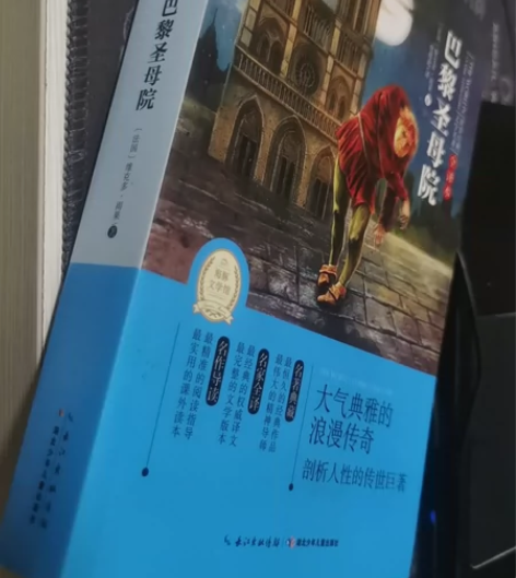 巴黎圣母院 如图所示 品相较新 非偏远包邮...