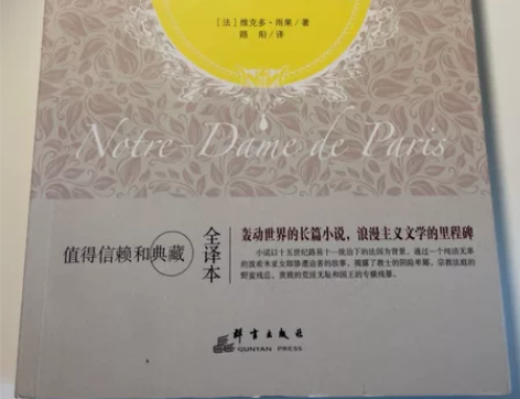 巴黎圣母院(全译本)/世界名著百部 感兴趣...