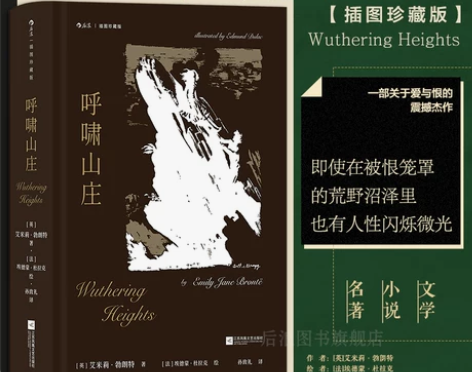 后浪正版现货 呼啸山庄 插图珍藏版 外国文...