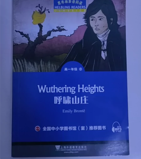 呼啸山庄，适合给孩子提升英语。 无使用痕迹...