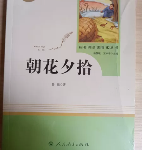 朝花夕拾(7上)/名著阅读课程化丛书 之前...