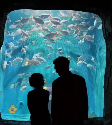 帮p于适合照！ 帮p小姐妹们和于适的合照！...