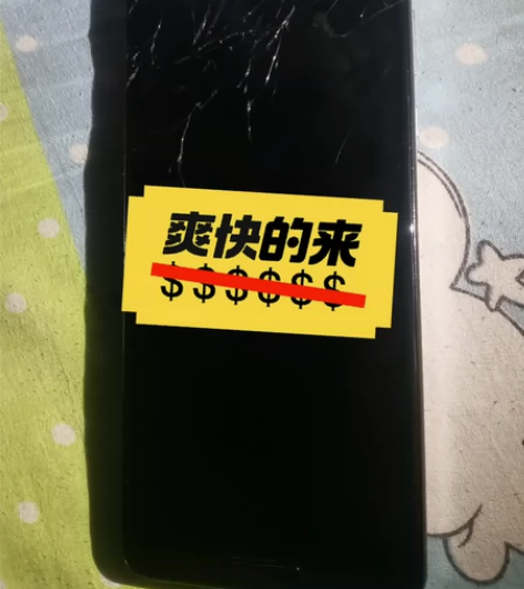 夏普R5G  256+12  白色 外屏碎...