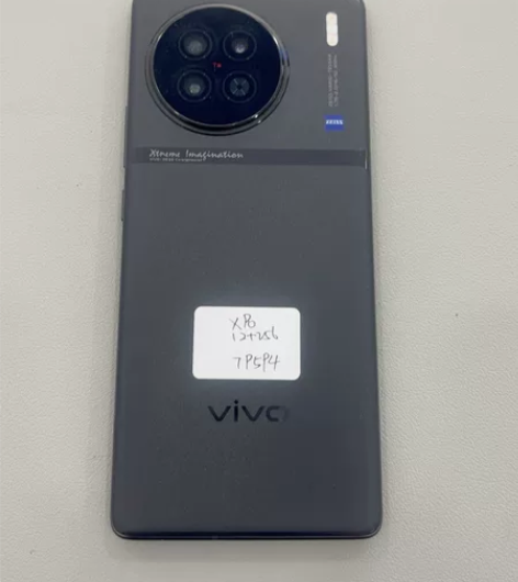 vivoX90 内存12256 外观小花