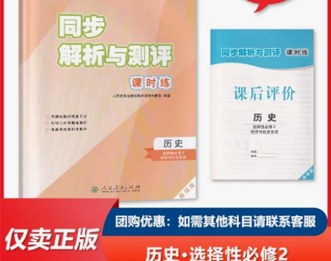 2024正版同步解析与测评课时练高中历史选...