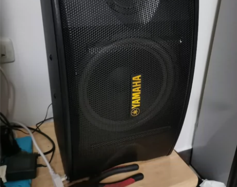 300元为一对音响的价格音质不错 准备买来...