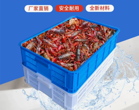 龙虾苗筐575-140密眼框大号加厚储物筐...