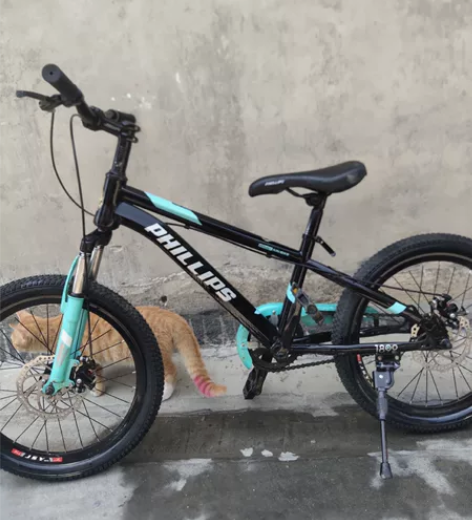 山地自行车的，二十寸，单速！菲利普牌，新的...