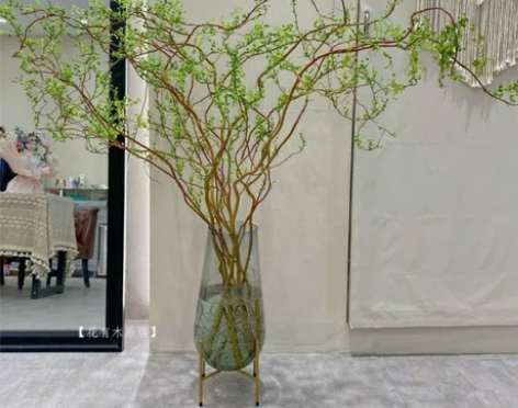 水培龙柳鲜枝插花水培客厅卧室鲜花落地水养易...