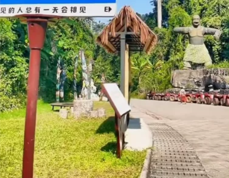 云南旅游打卡，西双版纳望天树景区套票，西双...