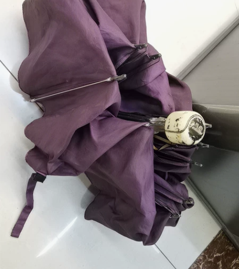 正版天堂伞     折叠伞       2...