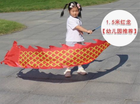 儿童舞龙学生甩舞彩带手甩舞龙空竹龙手甩舞龙...