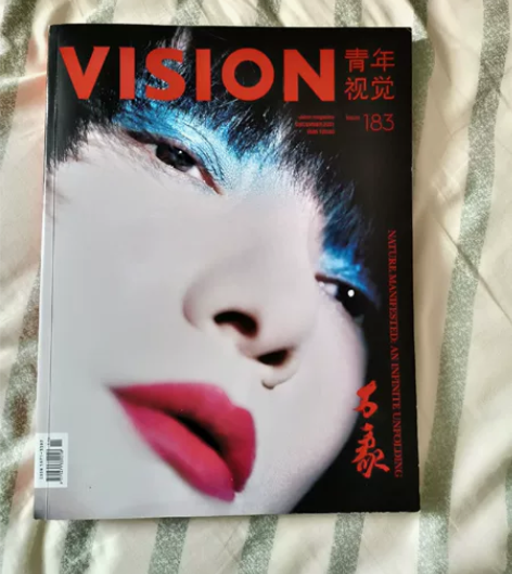 Vision青年视觉杂志 第183期,几乎...