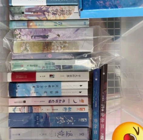 出言情小说 青春文学 当当网购入有购买记录...