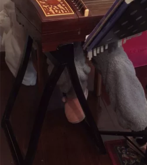 古筝网课  老师毕业于四川音乐学院古筝专业...