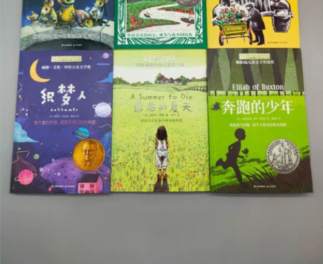 长青藤国际大奖小说系列第七季 教堂老鼠的大...