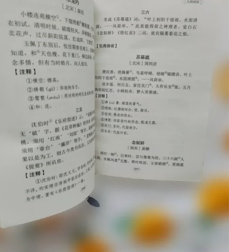 人间词话王国维正版 中华国学经典精粹 文白...