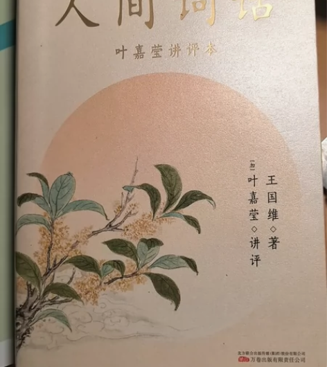 95新的人间词话原价68元，现买44元 感...