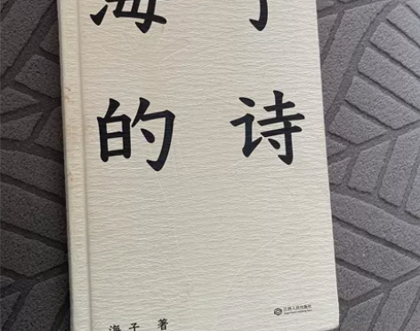 正版二手 海子的诗 精装 海子著 内容简介...