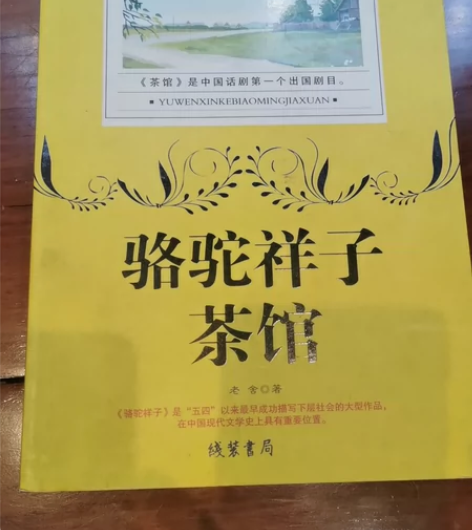 骆驼祥子 茶馆朱自清散文精选 感兴趣的话点...