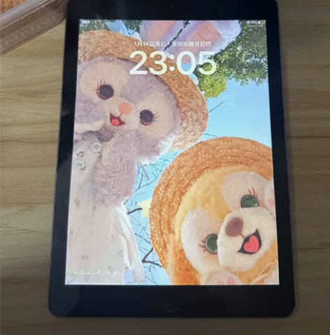 自用出ipad7代128g 10.2英寸2...