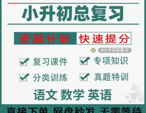 【自动秒发】2024年小升初总复习资料电子...