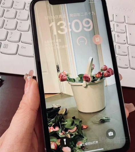 工作用不到了 95新 国行iPhoneXR...