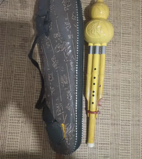 葫芦丝,以前上课用闲置的,自提最好 感兴趣...