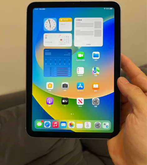 ?iPadmini6 256g插卡版蜂窝5...