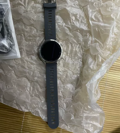 佳明（GARMIN）Forerunner2...